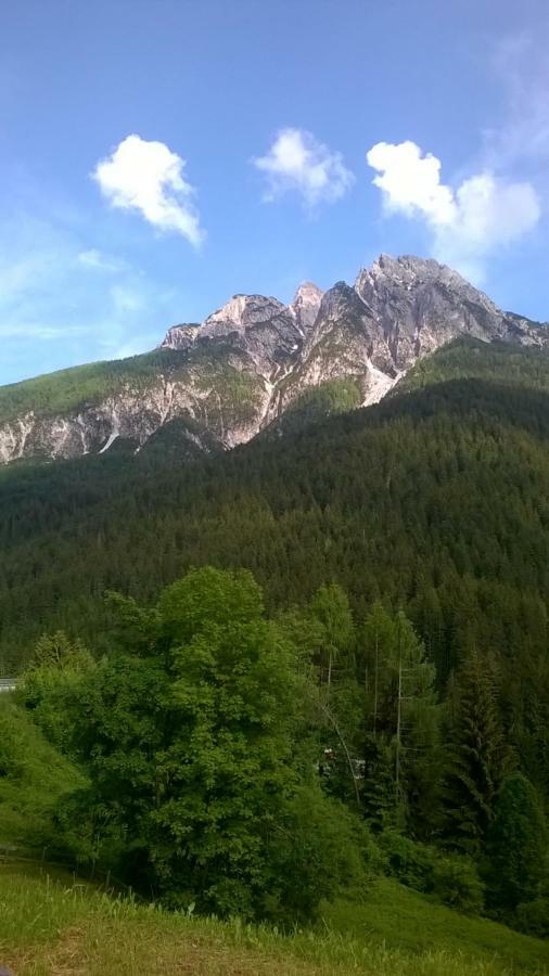 B&B Il Tulipano San Pietro di Cadore Exterior foto